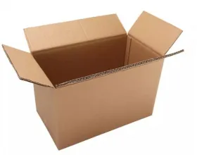 Sản phẩm san xuat thung carton 5 lop so luong lon1 2580 — Công Ty TNHH Dịch Vụ TM Sản Xuất Bao Bì Cảnh Thịnh — MST 3703071578