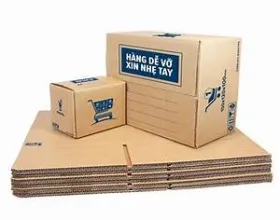 Sản phẩm thung carton 5 lop giao hang nhanh 7634 — Công Ty TNHH Dịch Vụ TM Sản Xuất Bao Bì Cảnh Thịnh — MST 3703071578