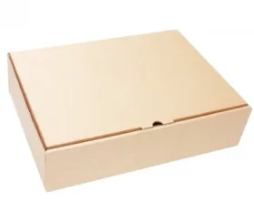 Sản phẩm thung carton nap cai 9683 — Công Ty TNHH Dịch Vụ TM Sản Xuất Bao Bì Cảnh Thịnh — MST 3703071578