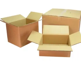 Sản phẩm thung giay carton thanh tam1 1948 — Công Ty TNHH Dịch Vụ TM Sản Xuất Bao Bì Cảnh Thịnh — MST 3703071578