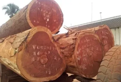 Sản phẩm go xoan dao 5 3027.jpg — Công Ty TNHH Gỗ Nhật Thành — MST 3703076664