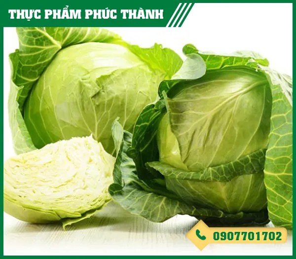 Sản phẩm bap cai — Thực Phẩm Phúc Thành - Công Ty TNHH Kinh Doanh Thực Phẩm Phúc Thành — MST 3703096477