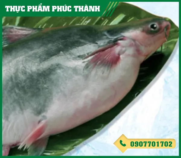 Sản phẩm ca ba sa — Thực Phẩm Phúc Thành - Công Ty TNHH Kinh Doanh Thực Phẩm Phúc Thành — MST 3703096477
