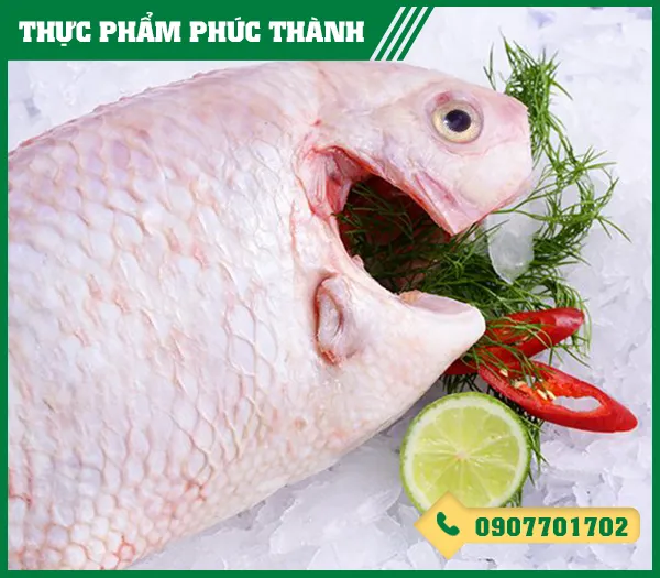 Sản phẩm ca dieu hong — Thực Phẩm Phúc Thành - Công Ty TNHH Kinh Doanh Thực Phẩm Phúc Thành — MST 3703096477