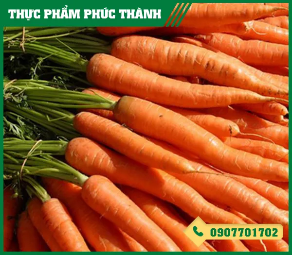 Sản phẩm ca rot — Thực Phẩm Phúc Thành - Công Ty TNHH Kinh Doanh Thực Phẩm Phúc Thành — MST 3703096477
