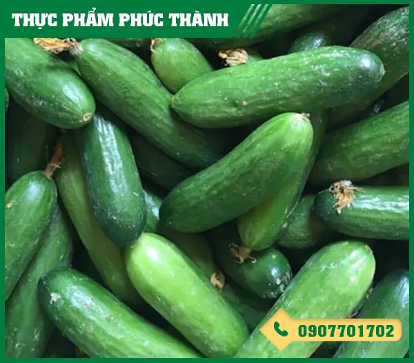 Sản phẩm dua leo — Thực Phẩm Phúc Thành - Công Ty TNHH Kinh Doanh Thực Phẩm Phúc Thành — MST 3703096477