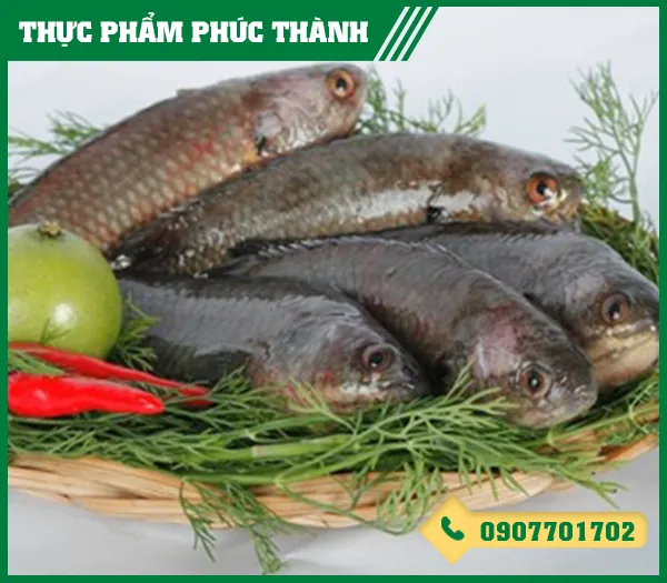 Sản phẩm ro — Thực Phẩm Phúc Thành - Công Ty TNHH Kinh Doanh Thực Phẩm Phúc Thành — MST 3703096477