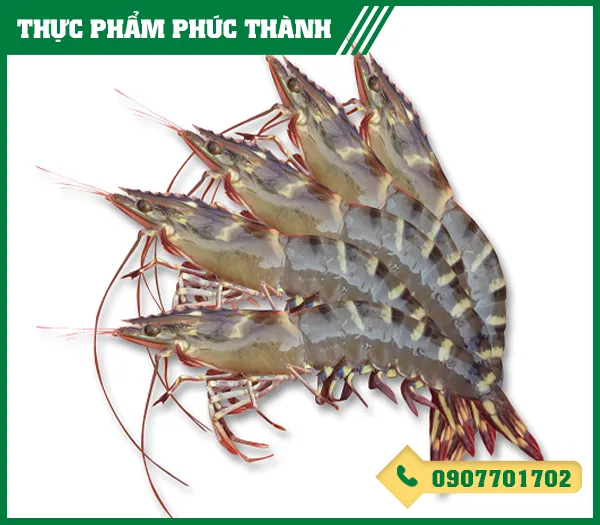 Sản phẩm tom su — Thực Phẩm Phúc Thành - Công Ty TNHH Kinh Doanh Thực Phẩm Phúc Thành — MST 3703096477