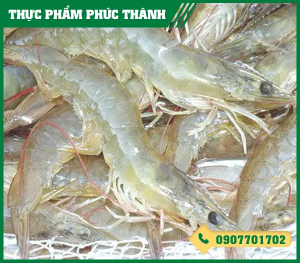 Sản phẩm tom the — Thực Phẩm Phúc Thành - Công Ty TNHH Kinh Doanh Thực Phẩm Phúc Thành — MST 3703096477