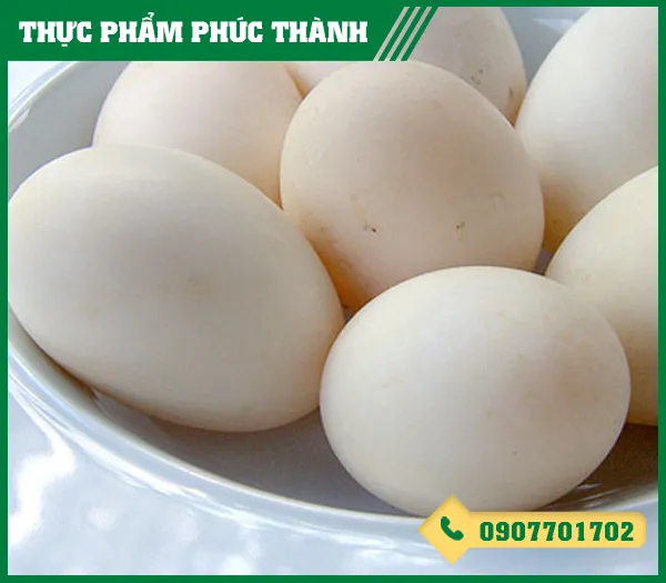 Sản phẩm trung vit — Thực Phẩm Phúc Thành - Công Ty TNHH Kinh Doanh Thực Phẩm Phúc Thành — MST 3703096477