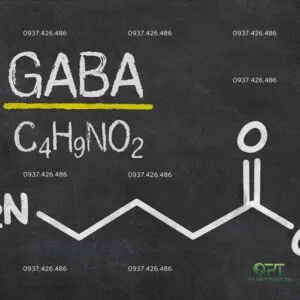 Sản phẩm GAMA AMINOBUTYRIC ACID 300x300 — Công Ty TNHH Quyết Phát Tài — MST 3703101769