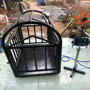 Sản phẩm can heo1 300x300 — Công Ty TNHH Thương Mại Sản Xuất Hiếu Phát — MST 3703121275