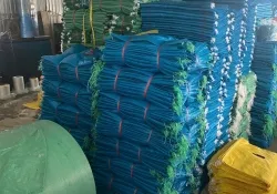 Sản phẩm bao gia bao tai dua 50kg 7449 — Công Ty TNHH Sản Xuất Thương Mại Dịch Vụ Bao Bì An Lạc — MST 3703123321
