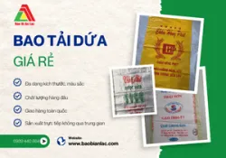 Sản phẩm bao tai dua gia re 4165 — Công Ty TNHH Sản Xuất Thương Mại Dịch Vụ Bao Bì An Lạc — MST 3703123321