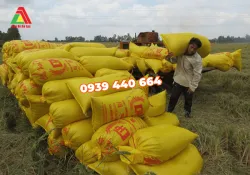 Sản phẩm cung cap bao dung lua gia si 7897 — Công Ty TNHH Sản Xuất Thương Mại Dịch Vụ Bao Bì An Lạc — MST 3703123321