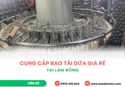 Sản phẩm cung cap bao tai dua gia re tai lam dong 3568 — Công Ty TNHH Sản Xuất Thương Mại Dịch Vụ Bao Bì An Lạc — MST 3703123321