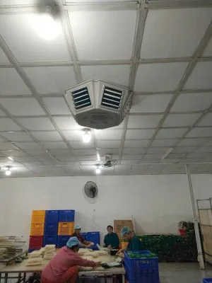 Sản phẩm z6826391740014_93c960a8eecf34009e816a0ce256784d 300x400 — Quạt Công Nghiệp Đồng Tâm - Công Ty TNHH Sản Xuất Và Thương Mại Cơ Khí Đồng Tâm — MST 3703131770