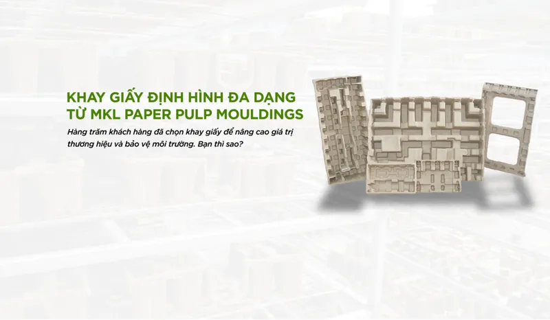 Sản phẩm 11 4669 — MKL Paper Pulp Mouldings - Công Ty TNHH MKL Paper Pulp Mouldings Việt Nam — MST 3703145195