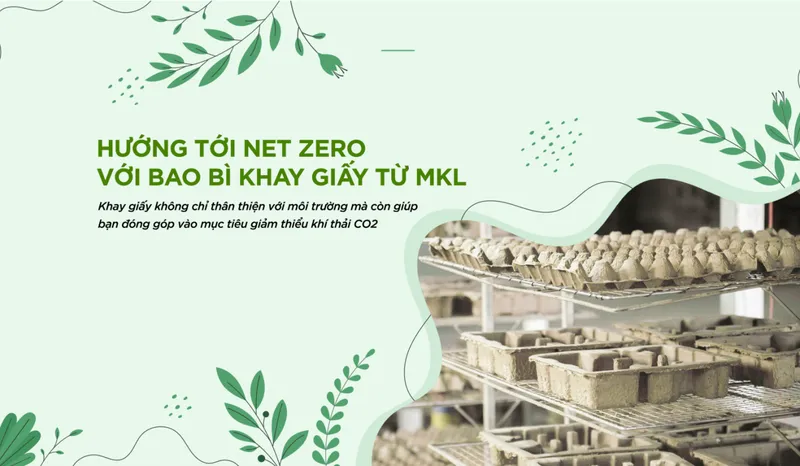 Sản phẩm 2 6437 — MKL Paper Pulp Mouldings - Công Ty TNHH MKL Paper Pulp Mouldings Việt Nam — MST 3703145195