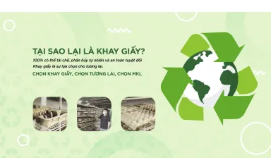 Sản phẩm 3 2892 — MKL Paper Pulp Mouldings - Công Ty TNHH MKL Paper Pulp Mouldings Việt Nam — MST 3703145195