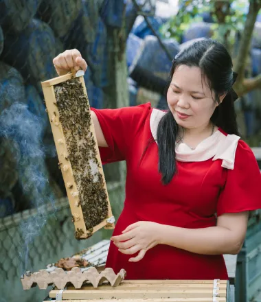 Sản phẩm mat ong tu nhien 40 1775611730.jpg — Mật Ong Thảo Trinh - Hợp Tác Xã Ong Mật Thảo Trinh — MST 3703167618