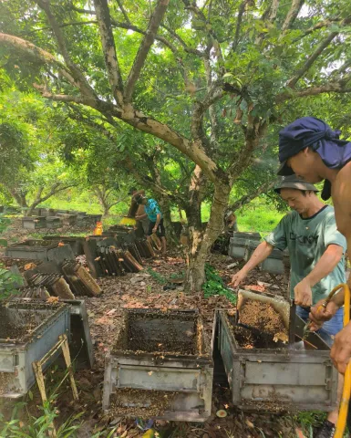 Sản phẩm mat ong thao trinh 24 1769997050.jpg — Mật Ong Thảo Trinh - Hợp Tác Xã Ong Mật Thảo Trinh — MST 3703167618