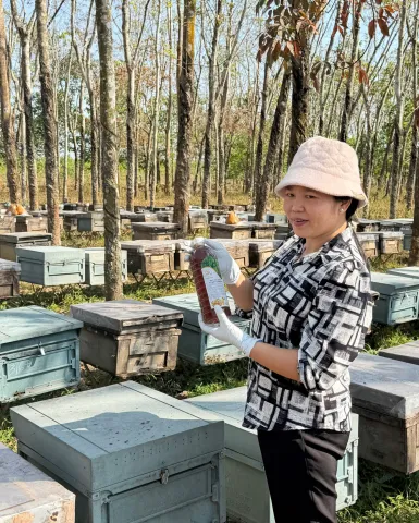 Sản phẩm mat ong thao trinh 42 1769997074.jpg — Mật Ong Thảo Trinh - Hợp Tác Xã Ong Mật Thảo Trinh — MST 3703167618