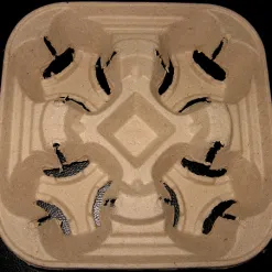 Sản phẩm coffee tray3 247x247 — Vỉ Giấy, Khay Giấy Techper - Công Ty Cổ Phần Công Nghệ Techper Việt Nam — MST 3703188368