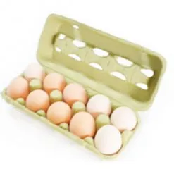 Sản phẩm Egg tray 10 247x247 — Vỉ Giấy, Khay Giấy Techper - Công Ty Cổ Phần Công Nghệ Techper Việt Nam — MST 3703188368