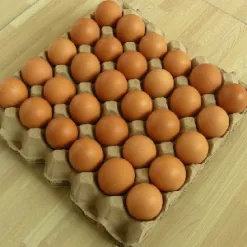 Sản phẩm Egg tray 30 247x247 — Vỉ Giấy, Khay Giấy Techper - Công Ty Cổ Phần Công Nghệ Techper Việt Nam — MST 3703188368