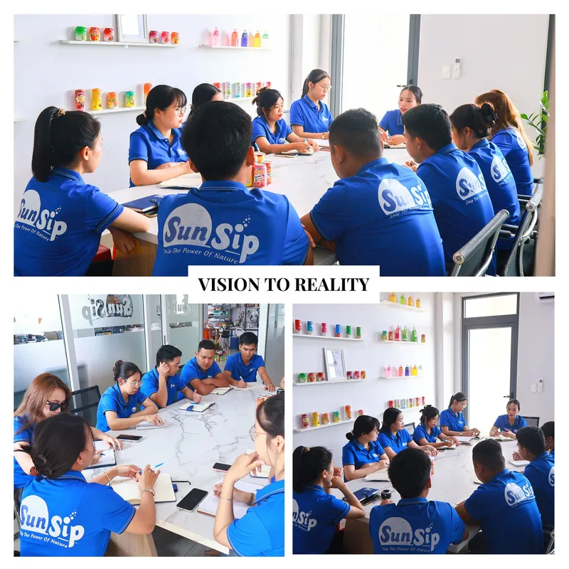Sản phẩm VISION TO REALITY 3 — Công Ty TNHH Nước Giải Khát Sunsip Việt Nam — MST 3703200819