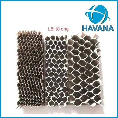 Sản phẩm z5672121455528_333051da3d33438feac0d39174a9804f — Giấy Tổ Ong Havana - Công Ty TNHH Thương Mại Sản Xuất Havana Việt Nam — MST 3703201509