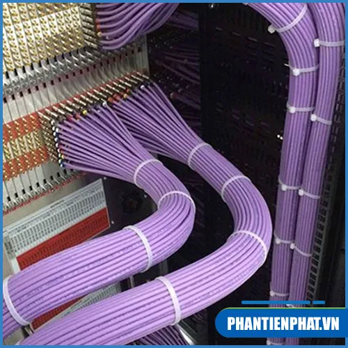 Sản phẩm phan tien phat (30) — Cơ Điện Phan Tiến Phát - Công Ty TNHH Cơ Điện Phan Tiến Phát — MST 3703220036