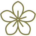Sản phẩm flower — Công Ty TNHH B.A.P Garden — MST 3703263304
