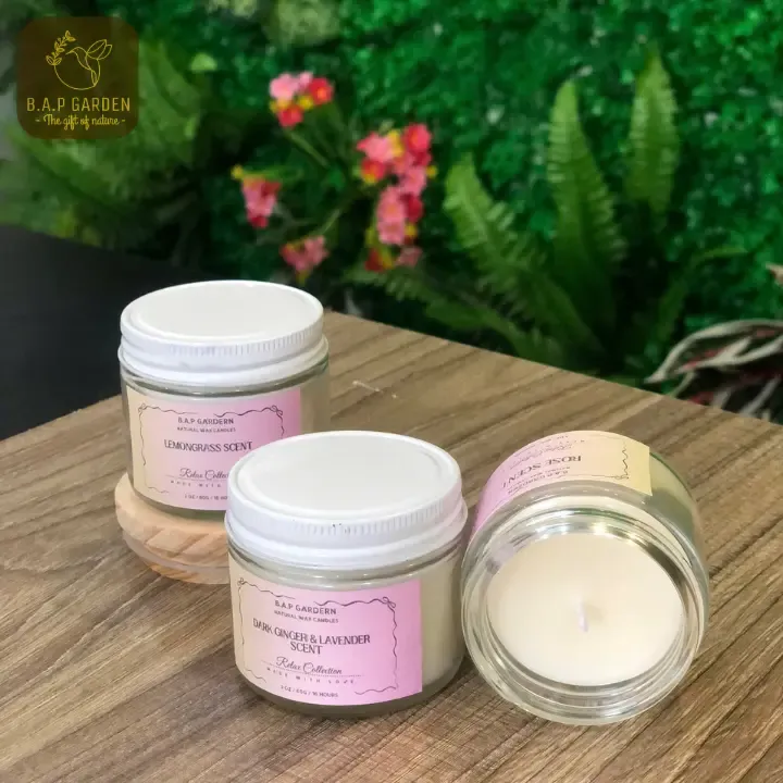 Sản phẩm Thiet ke chua co ten 2 — Công Ty TNHH B.A.P Garden — MST 3703263304