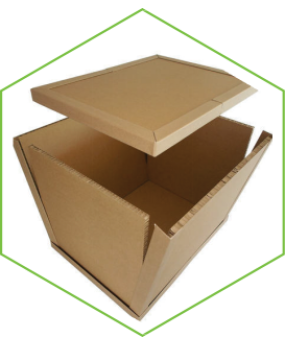 Sản phẩm thung giay to ong 1743163394.png — Công Ty TNHH Sản Xuất Bao Bì Giấy Phương Anh — MST 3703273750