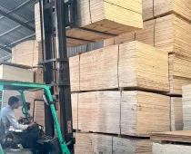 Sản phẩm c08fe7936c05e35bba147 1768201041.jpg — Ván ép Minh Khang - Công Ty TNHH Một Thành Viên Ván ép Minh Khang — MST 3703333061