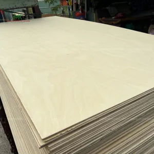 Sản phẩm hinh ve 2 1762837163.jpg — Ván ép Minh Khang - Công Ty TNHH Một Thành Viên Ván ép Minh Khang — MST 3703333061