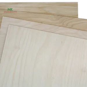 Sản phẩm hinh ve4 1762837256.jpg — Ván ép Minh Khang - Công Ty TNHH Một Thành Viên Ván ép Minh Khang — MST 3703333061