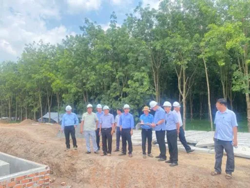Sản phẩm 1_10 — Cao Su Lộc Ninh - Công Ty TNHH MTV Cao Su Lộc Ninh — MST 3800100270