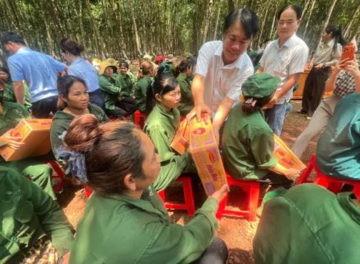 Sản phẩm 7_3 — Cao Su Lộc Ninh - Công Ty TNHH MTV Cao Su Lộc Ninh — MST 3800100270