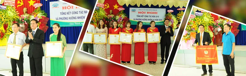Sản phẩm BNER 3 1033x319 — Cao Su Sông Bé - Công Ty TNHH MTV Cao Su Sông Bé — MST 3800100464