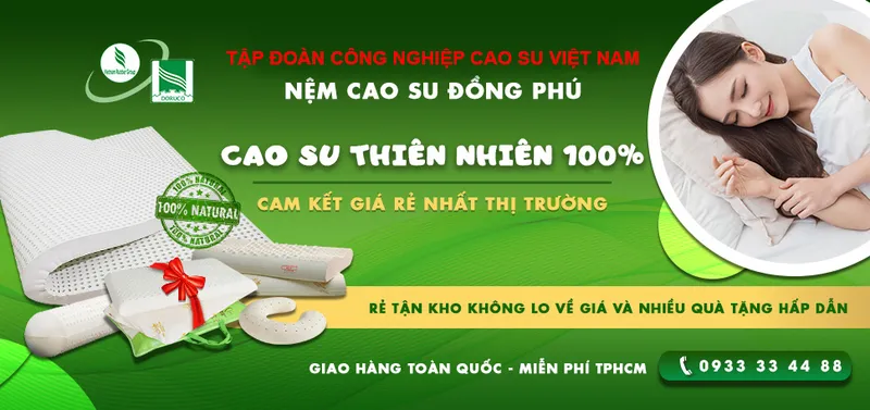 Sản phẩm nem dong phu 1 — Đại Lý Nệm Đồng Phú Việt Thắng - Công Ty CP Cao Su Kỹ Thuật Đồng Phú - CN HCM — MST 3800414774