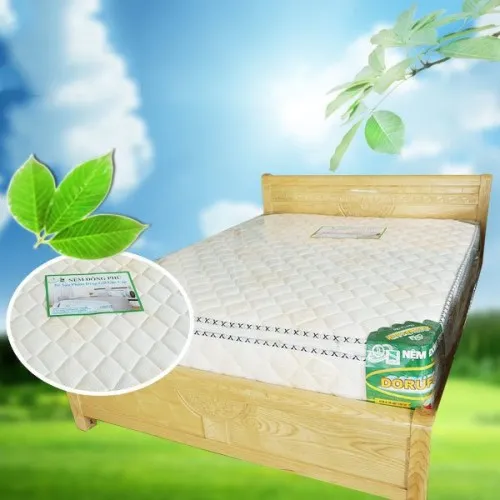 Sản phẩm nem lo xo mat cao su dong phu — Đại Lý Nệm Đồng Phú Việt Thắng - Công Ty CP Cao Su Kỹ Thuật Đồng Phú - CN HCM — MST 3800414774