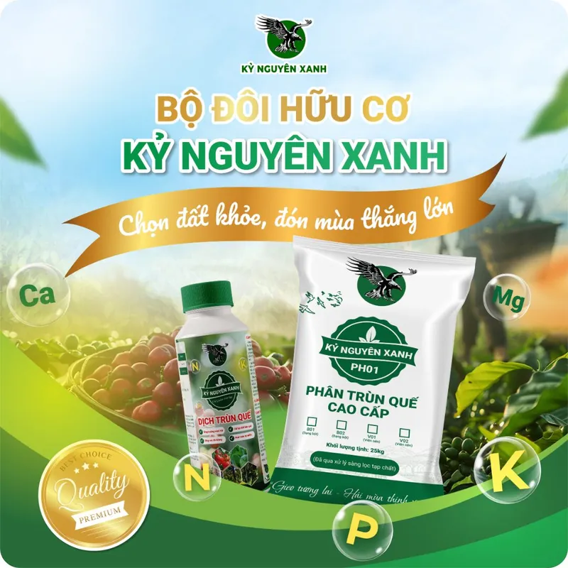 Sản phẩm Bo doi huu co Ky Nguyen Xanh 2 — Công Ty TNHH Phượng Hoàng — MST 3800669518