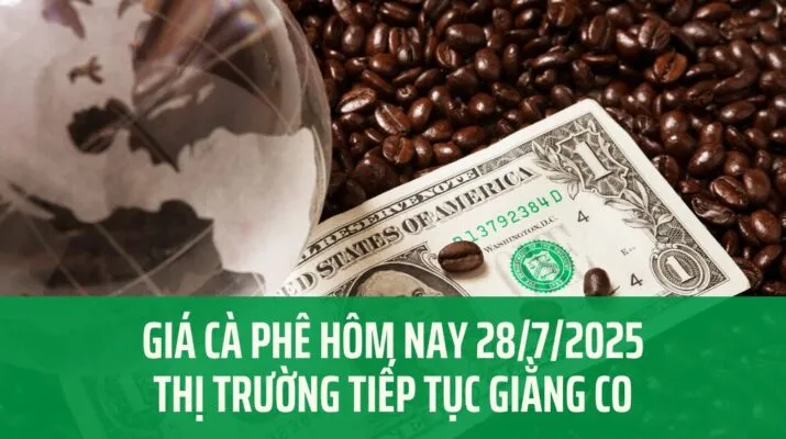 Sản phẩm Gia ca phe hom nay 2872025 715x400 — Công Ty TNHH Phượng Hoàng — MST 3800669518