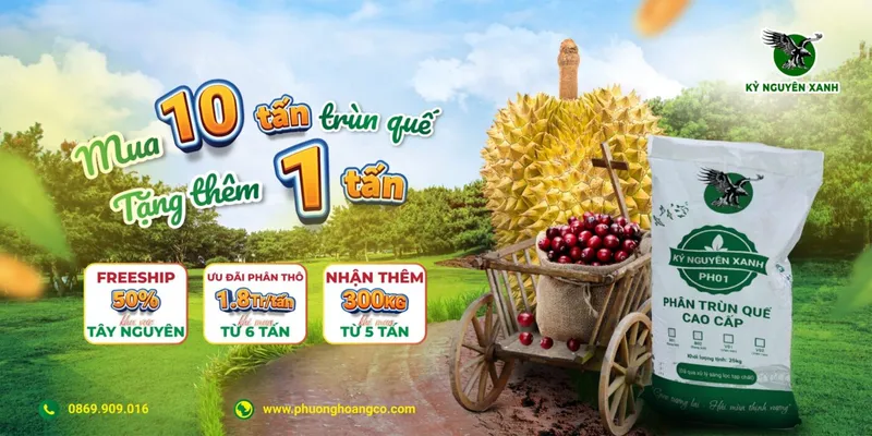 Sản phẩm Hoi cho nong nghiep 2025 Ky Nguyen Xanh 1400x700 — Công Ty TNHH Phượng Hoàng — MST 3800669518