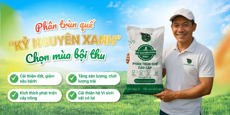 Sản phẩm Phan trun que Ky Nguyen Xanh 06 100 1 1400x701 — Công Ty TNHH Phượng Hoàng — MST 3800669518