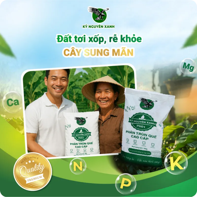 Sản phẩm Phan trun que Ky Nguyen Xanh 800x800 — Công Ty TNHH Phượng Hoàng — MST 3800669518