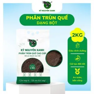 Sản phẩm Phan trun que Ky Nguyen Xanh Dang bot 2Kg 300x300 — Công Ty TNHH Phượng Hoàng — MST 3800669518
